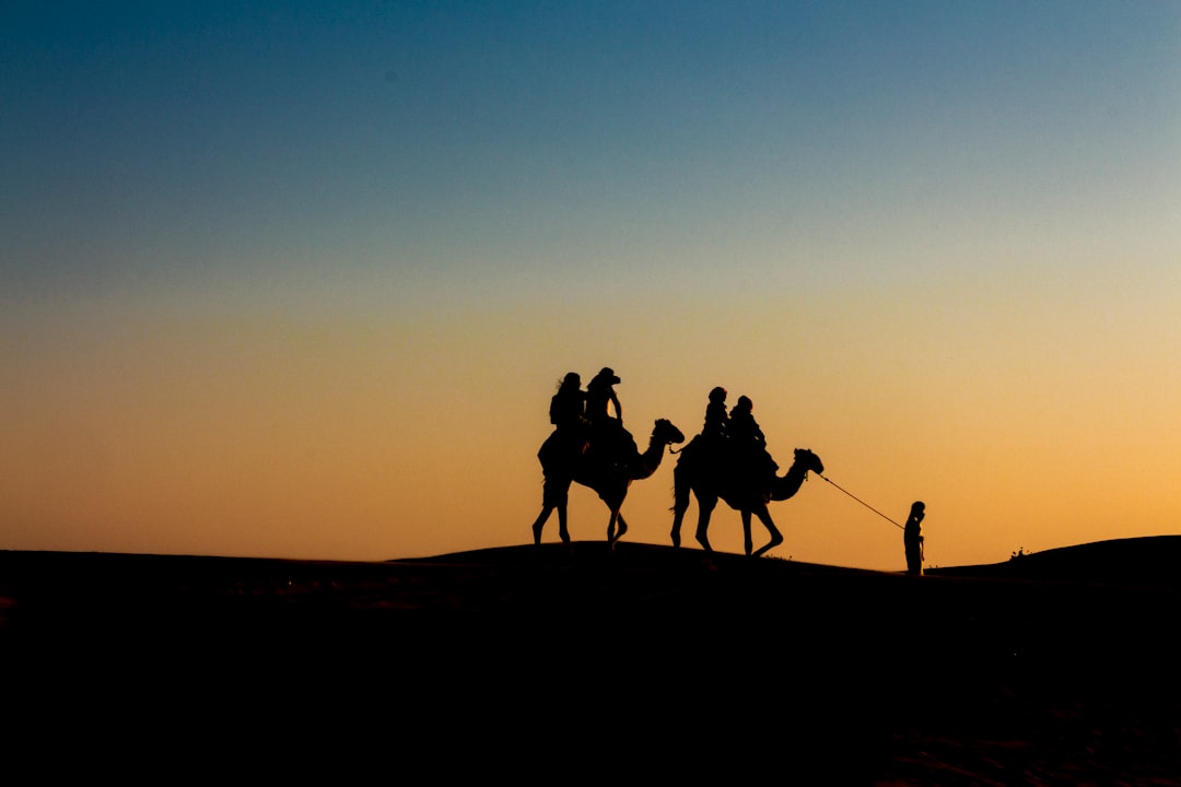 silhouette-of-people-riding-camels-envfrlmaxfg